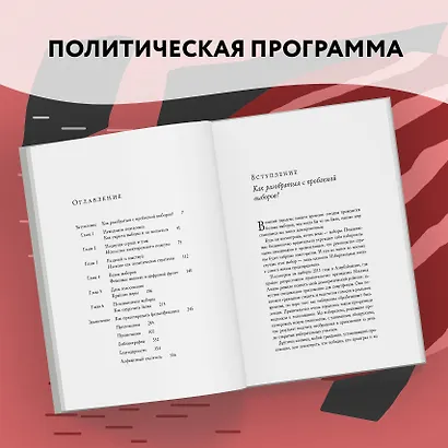 Как почти честно выиграть выборы - фото 15