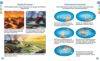 Море и его обитатели - фото 11