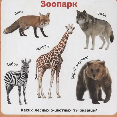 Первые слова - фото 2