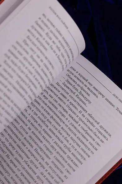 Дело лис-оборотней - фото 13