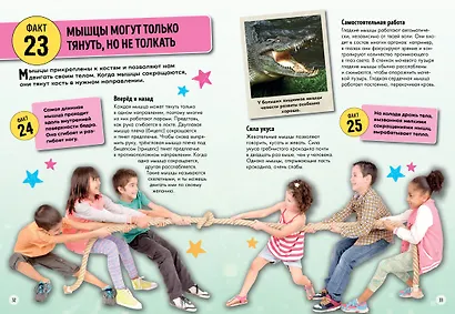 Всё об окружающем мире с научной точки зрения - фото 7