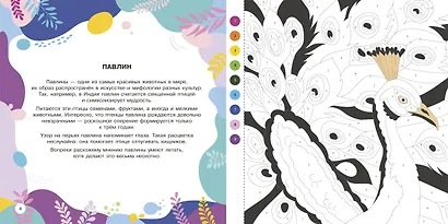 Животные - фото 7