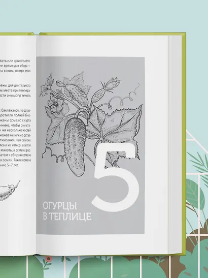 Теплица без ошибок. Все, что нужно знать, чтобы получить ранний и богатый урожай - фото 10