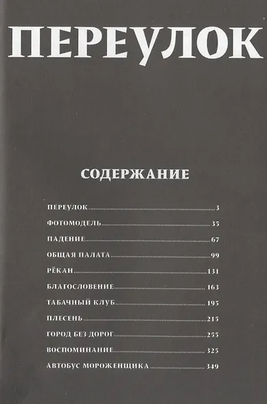 Переулок. Манга - фото 2