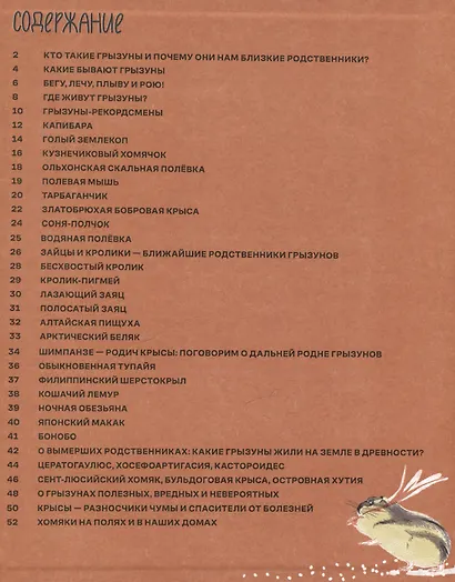 Вот так капибара : необыкновенные грызуны и их родственники - фото 3