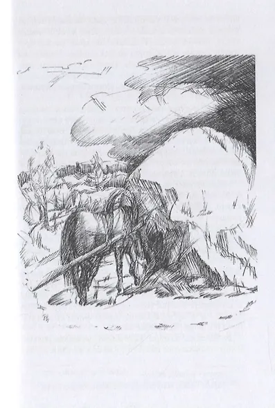 Были и небылицы - фото 6