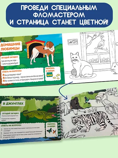 Дикие животные - фото 5