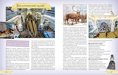 Первые экскурсии по музеям Санкт-Петербурга - фото 13