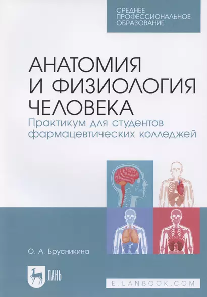 Анатомия и физиология человека. Практикум для студентов фармацевтических колледжей - фото 1