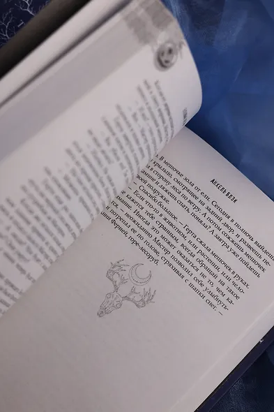 Ледяная ночь. 31 история для жутких вечеров - фото 13