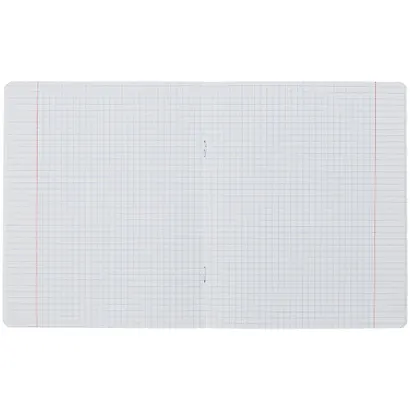 Тетрадь в клетку Hatber, "Мой друг Кактус", 24 листа, в ассортименте - фото 2