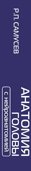 АНАТОМИЯ ГОЛОВЫ (с нейроанатомией). Руководство для студентов медицинских специальностей вузов, врачей, научных сотрудников - фото 6