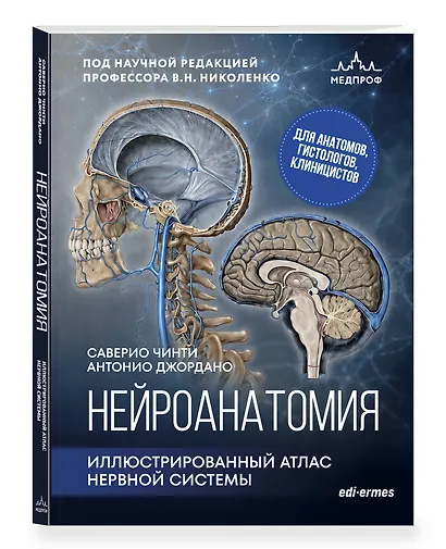Нейроанатомия. Иллюстрированный атлас нервной системы - фото 3