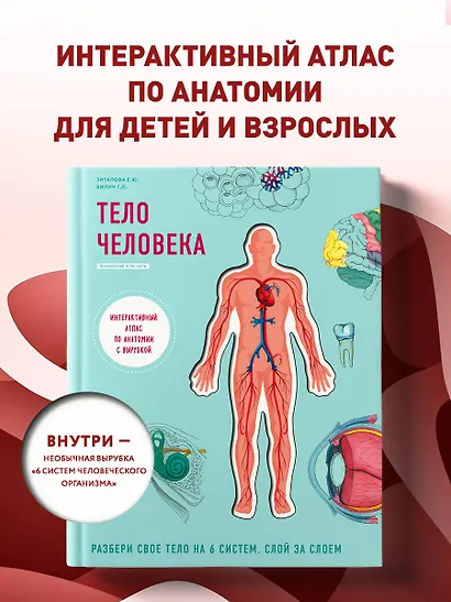 Тело человека. Интерактивный атлас по анатомии с вырубкой. Разбери свое тело на 6 систем. Слой за слоем - фото 4