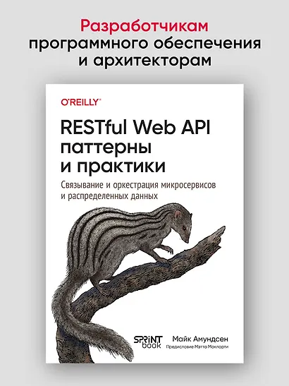RESTful Web API паттерны и практики - фото 3