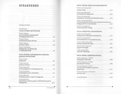 Мир серебристой чайки. - фото 2