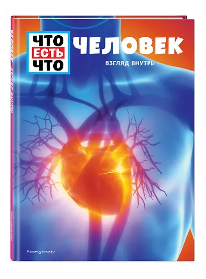 ЧЕЛОВЕК. Взгляд внутрь - фото 3