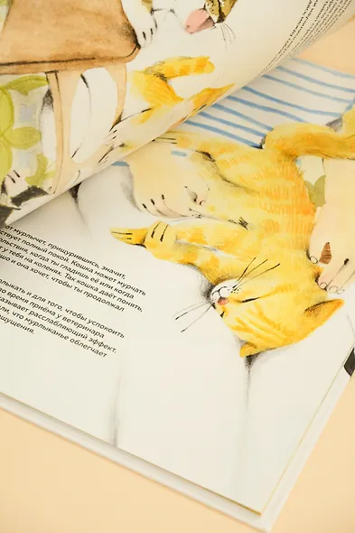 Невероятные коты. Всё, что нужно знать о любимых питомцах - фото 8