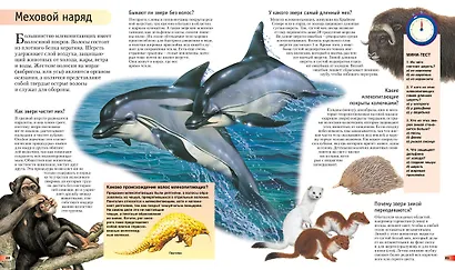Новая Книга знаний в вопросах и ответах - фото 8