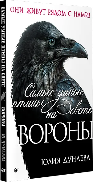 Самые умные птицы на свете. Вороны - фото 3