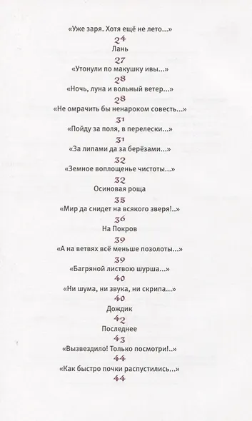 Святорусье: стихотворения - фото 3