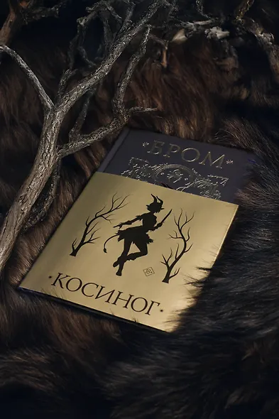 Косиног: История о колдовстве - фото 8