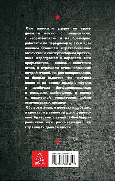 Бомбардировщики - фото 2
