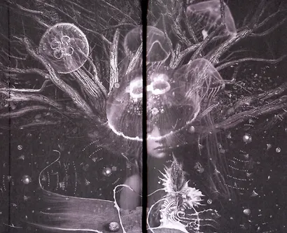 Жизнь в сновидении: Посвящение в мир магов - фото 3