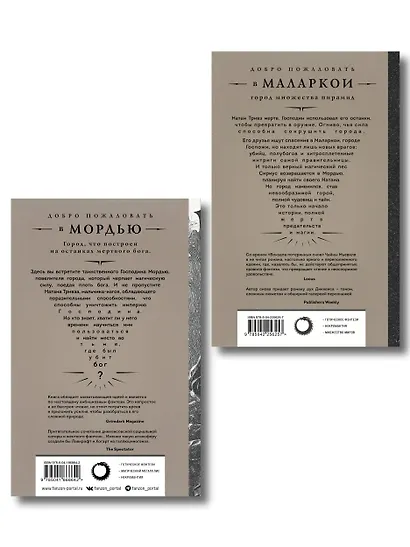 Комплект из 2-х книг (Город мертвого бога (Города холста #1) + Город Госпожи Забвения (Города холста #2)) - фото 2