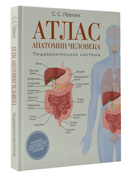 Атлас анатомии человека. Пищеварительная система - фото 3