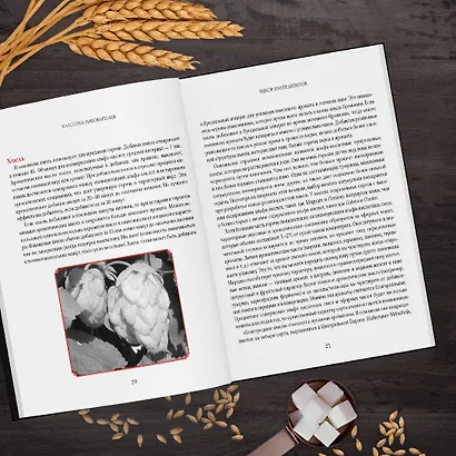 Классика пивоварения. Все стили и виды пива от эля до лагера - фото 4