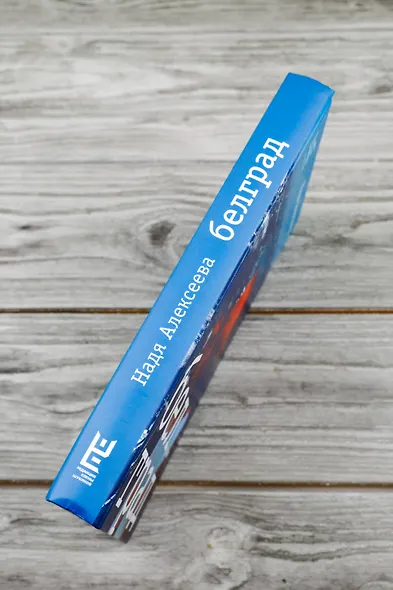 Белград. Роман - фото 7