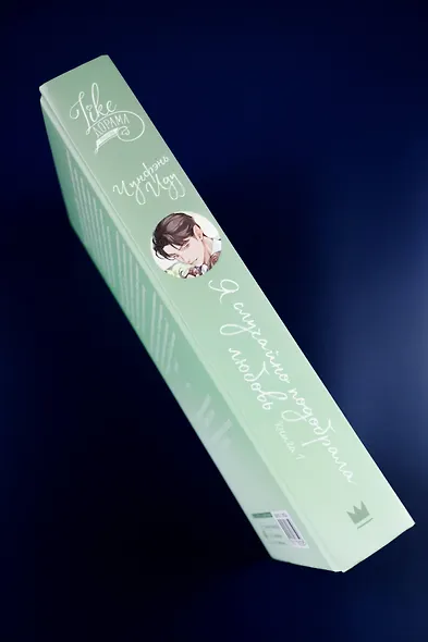 Я случайно подобрала любовь. Книга 1 - фото 7