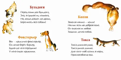 День рождения собаки - фото 4