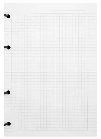 Тетрадь на кольцах в клетку Be Smart, Country, 120 листов, черная - фото 3