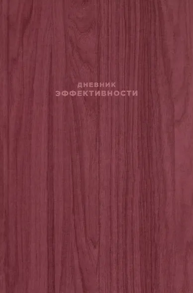 Дневник эффективности - фото 2