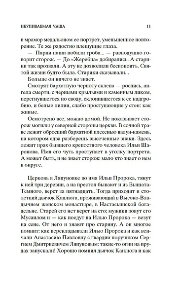 Солнце мертвых - фото 15
