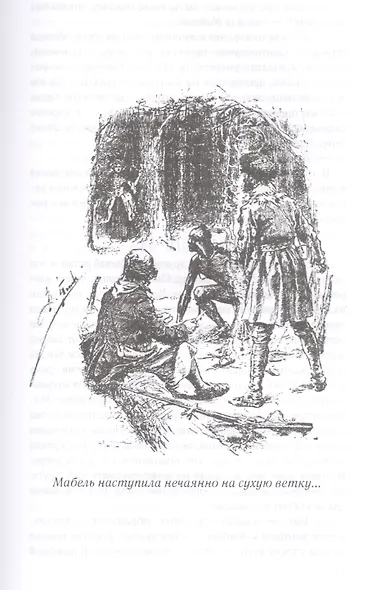 Следопыт, или На берегах Онтарио - фото 2