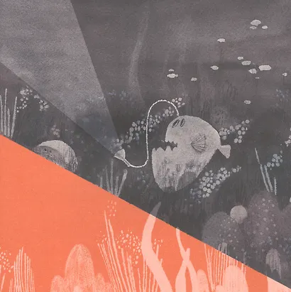 Вот так треугольник! - фото 4