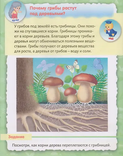 О природе - фото 3