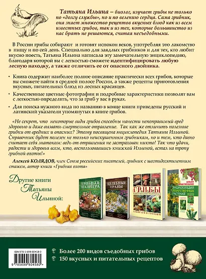 Грибное богатство: все, что нужно знать начинающему грибнику - фото 2