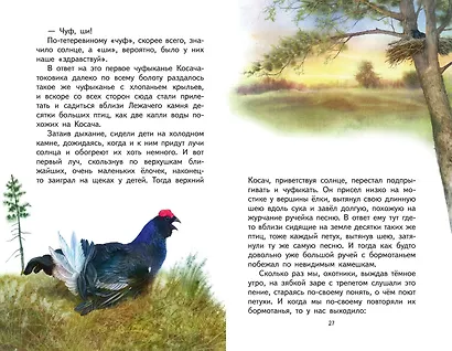Кладовая солнца (ил. В. Дударенко) - фото 9