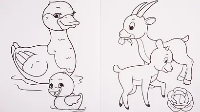 Животные - фото 3