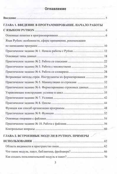 Информационные технологии и программирование: учебное пособие - фото 3