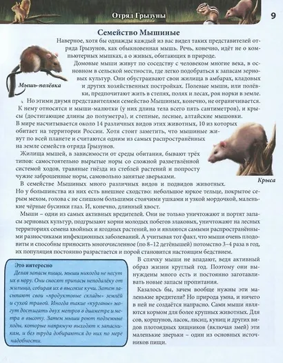 Животные России. Энциклопедия - фото 3