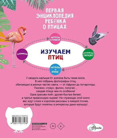 Птицы - фото 2