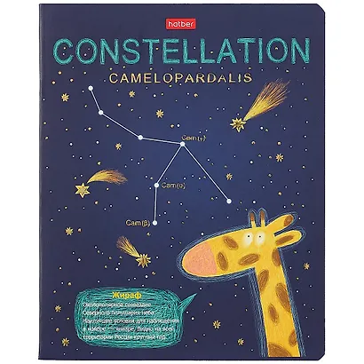 Тетрадь в клетку Hatber, "Приходи считать звезды", 48 листов, в ассортименте - фото 6