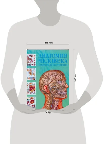Анатомия человека. Болезни и нарушения - фото 2