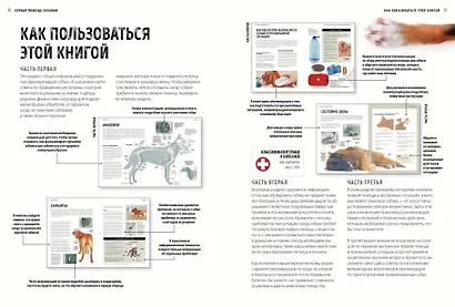 Первая помощь собакам. Осмотр, действия в экстренных ситуациях, аптечка первой помощи, социализация - фото 4