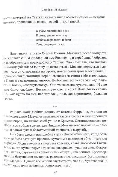 Стяжавшие свет. Рассказы о новомучениках Церкви Русской - фото 6